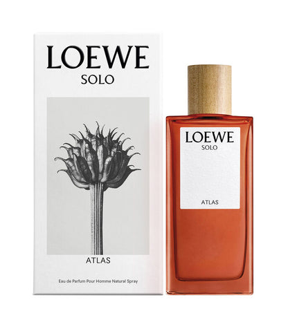 Loewe Solo Atlas EDP 100 ml